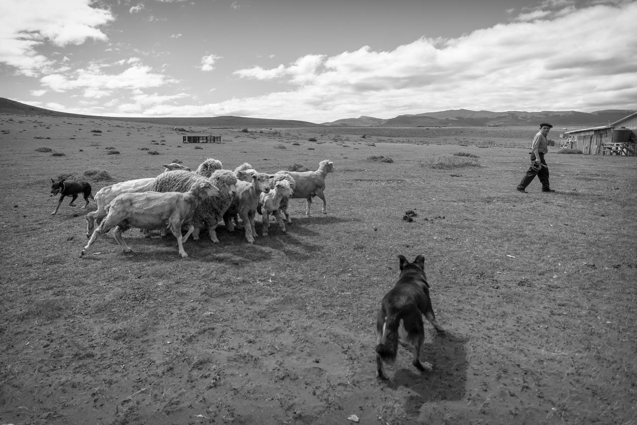 Estancia Dos Elianas Torres del Paine National Park 外观 照片