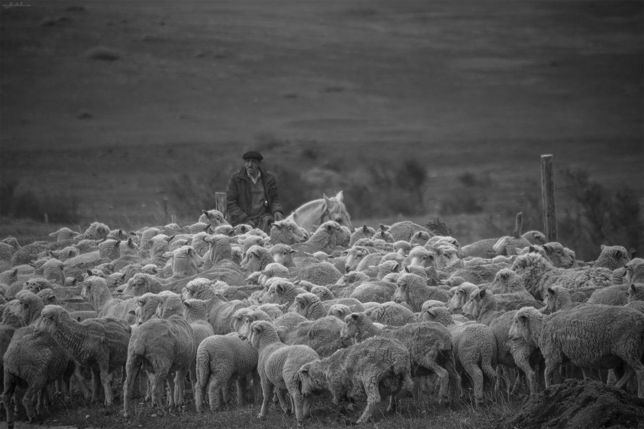 Estancia Dos Elianas Torres del Paine National Park 外观 照片